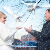 выпуск голубей на свадьбу